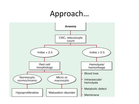 Approach to RBC disorders, anemia microcytic | PPT