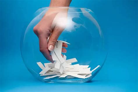 Image result for Probability Free