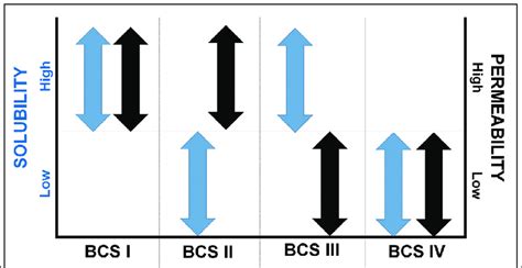 Image result for Biopharmaceutical Classification System