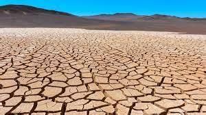 Natural Calamities - 1 Worksheet - Class 5 Science - Step-by-Step ...