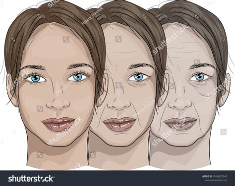 Image result for Aging Process Animation