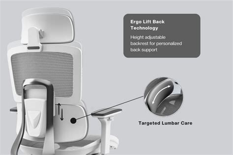 Icon Pro Premium Ergonomic Office Chair | ErgoLift | Green Soul®