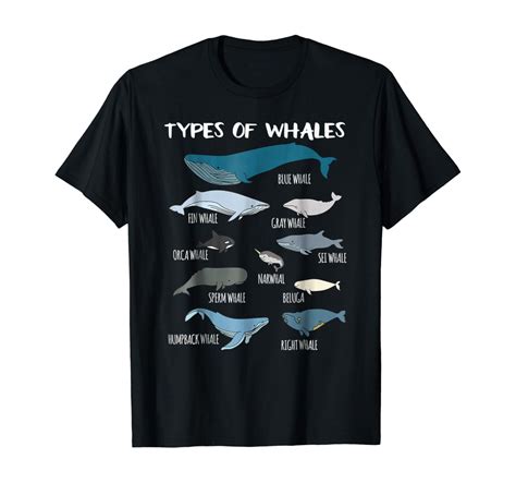 Buy Types Of Whales Cute Ocean Mammals Guide T Shirt Online at Lowest ...
