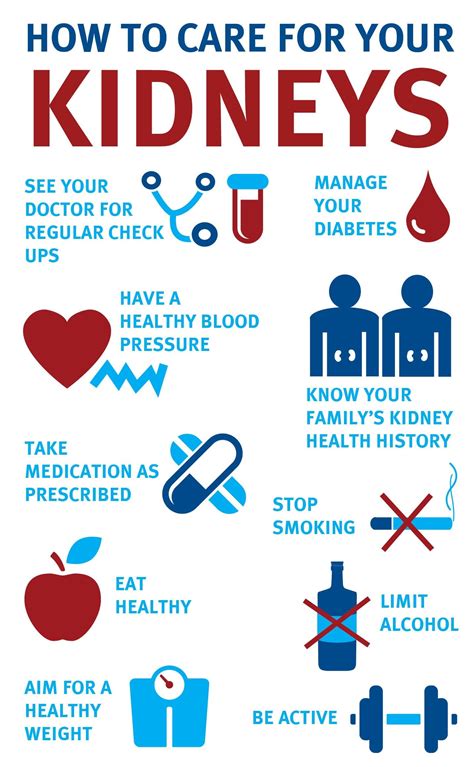 How To Look After Your Kidneys: Essential Habits For Longevity