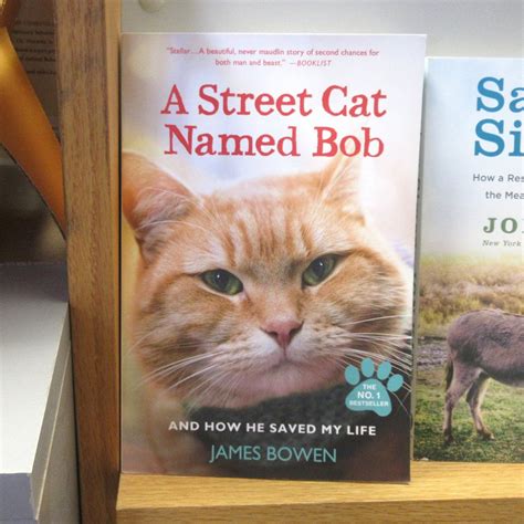 Paulina Springs Books (Sisters): All You Need to Know