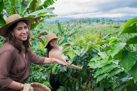 2023 Coffee Tour. provided by Recua Cafe Tour - Tripadvisor