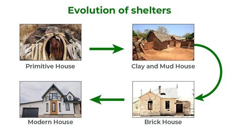 Evolution of Shelters - GeeksforGeeks