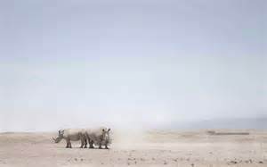 Image result for Extinction Process