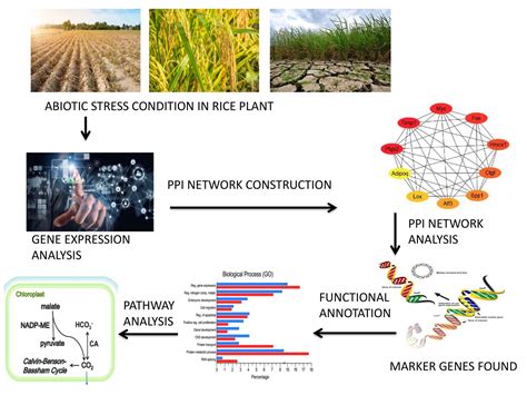 Journal of Applied Biology and Biotechnology