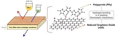 Surface-Modified Pore-Filled Anion-Exchange Membranes for Efficient ...