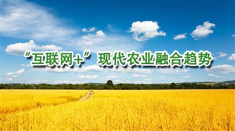 河南省农业专业技术人员专业课培训平台