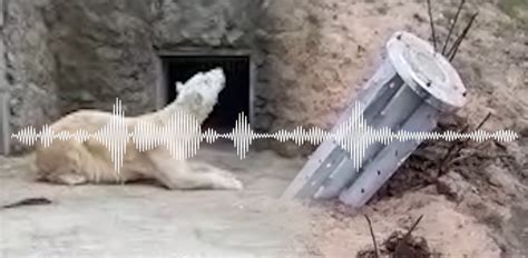 Zelenski cree que las negociaciones con Moscú son ahora "más realistas"