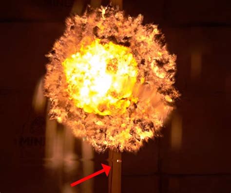 Image result for Exploding Pellet Ammo