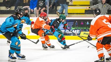 Pilot Program Development 的图像结果