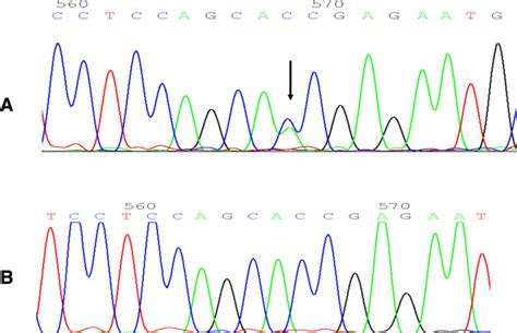 Mutation 的图像结果