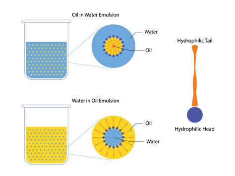 A mixture of two immiscible liquids in tubes, Emulsion oil in water and ...