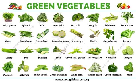 Green Vegetables: List of 31 Types of Vegetables that Have Green Color ...