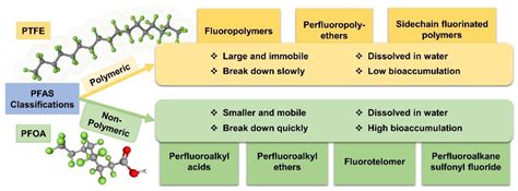 Forever Chemicals, Per-and Polyfluoroalkyl Substances (PFAS), in ...
