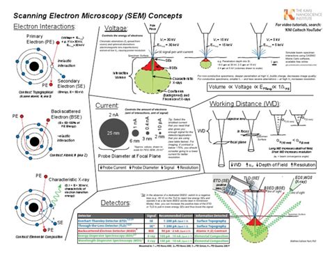 SEM Diagrams Handout (Concepts) | PDF | Scanning Electron Microscope ...