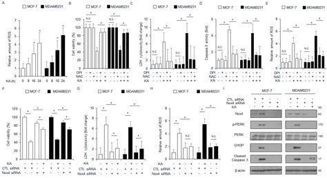 Anti-Inflammatory and Anticancer Effects of Kaurenoic Acid in ...