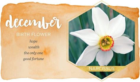 Image result for Wedding Card Tutorials