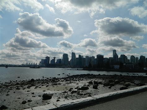 City Side View 的图像结果