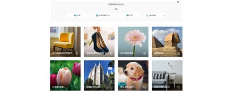 必应 AI 的图像结果