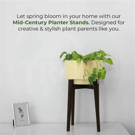Costa Mid Century Stand with Pot – TrustBasket