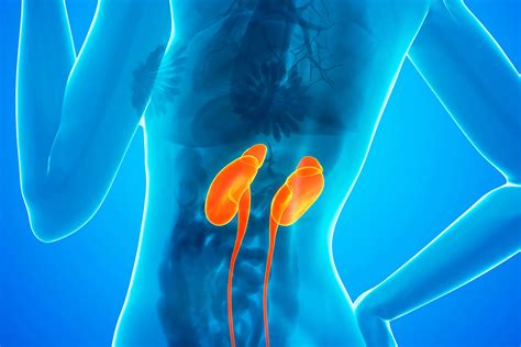 Does Ice Affect Your Kidneys at Laurie Hamlett blog