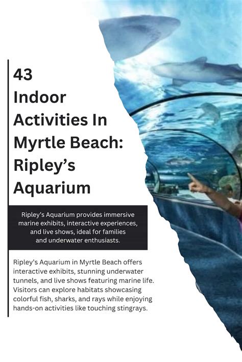 43 Fun Indoor Activities In Myrtle Beach, SC - Travel Halfway
