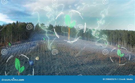 Environment Map Computer Graphics 的图像结果