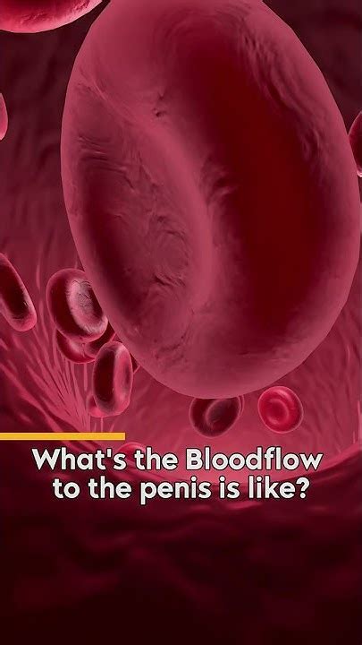 Image result for Ed Performance Test