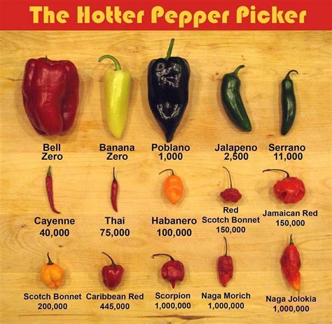 Habanero Chilli Heat Scale at Ina Lillard blog