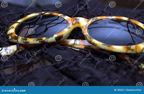 Leopard Print Glasses stock image. Image of brown, gold - 78523
