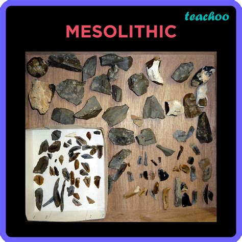 Stone Age History 的图像结果