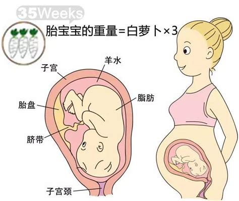 怎么样才能怀孕（怀孕困难别害怕，医生建议：这3件事提高怀孕几率，宝宝在等你！） | 说明书网