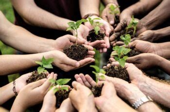 Ejemplos.in – Enciclopedia de ejemplos para aprender más fácil