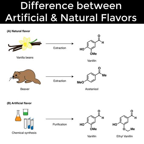 Decoding Natural Flavors: Your Friendly Guide