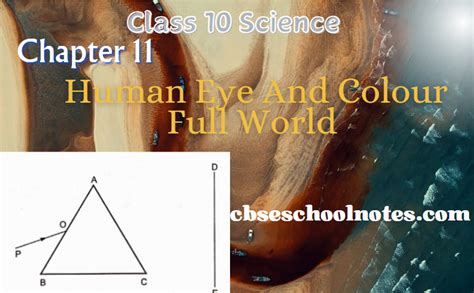 Class 10 Science Chapter 11 Topic Eyes 的图像结果