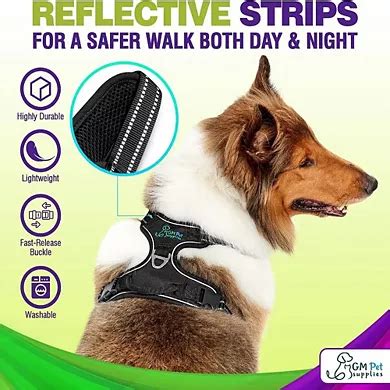 Katziela Dog Harness Walking Kit and Leash Set for Dogs Pack 1