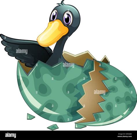 Duck Egg Hatching High Resolution Stock Photography and Images - Alamy