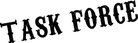 Task Force Script 的图像结果