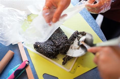 Image result for Candy Making Process