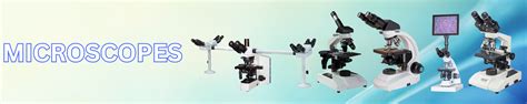 Amazon.in: CONXPORT: Microscopes