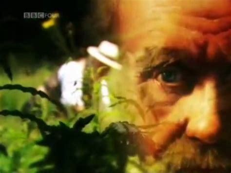 Image result for Evolution Problems Documentary