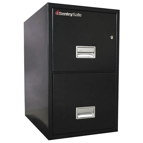 Sentry Safe 2 Drawer Fire-Resistant Filing Cabinet, Black, Letter ...