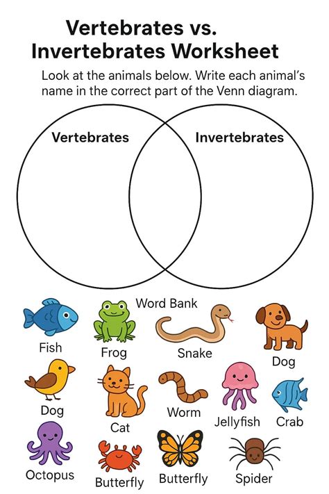 Animal Classification Worksheets - Free Image & PDF Printables