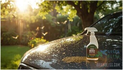 Image result for Bird Poop Removal