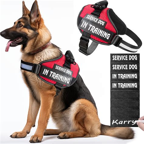 Amazon.com : Bcadem Service Dog Vest,8 Dog Patches No-Pull Service Dog ...