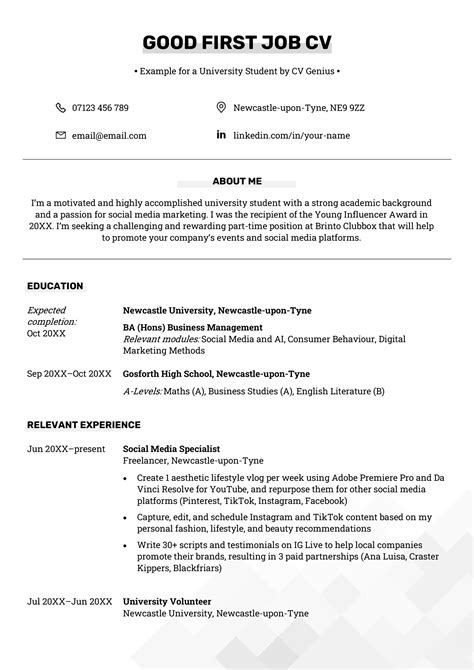 Image result for Job CV Examples